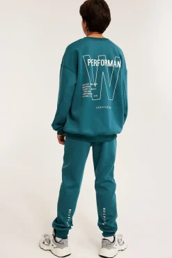 Bluza