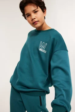 Bluza
