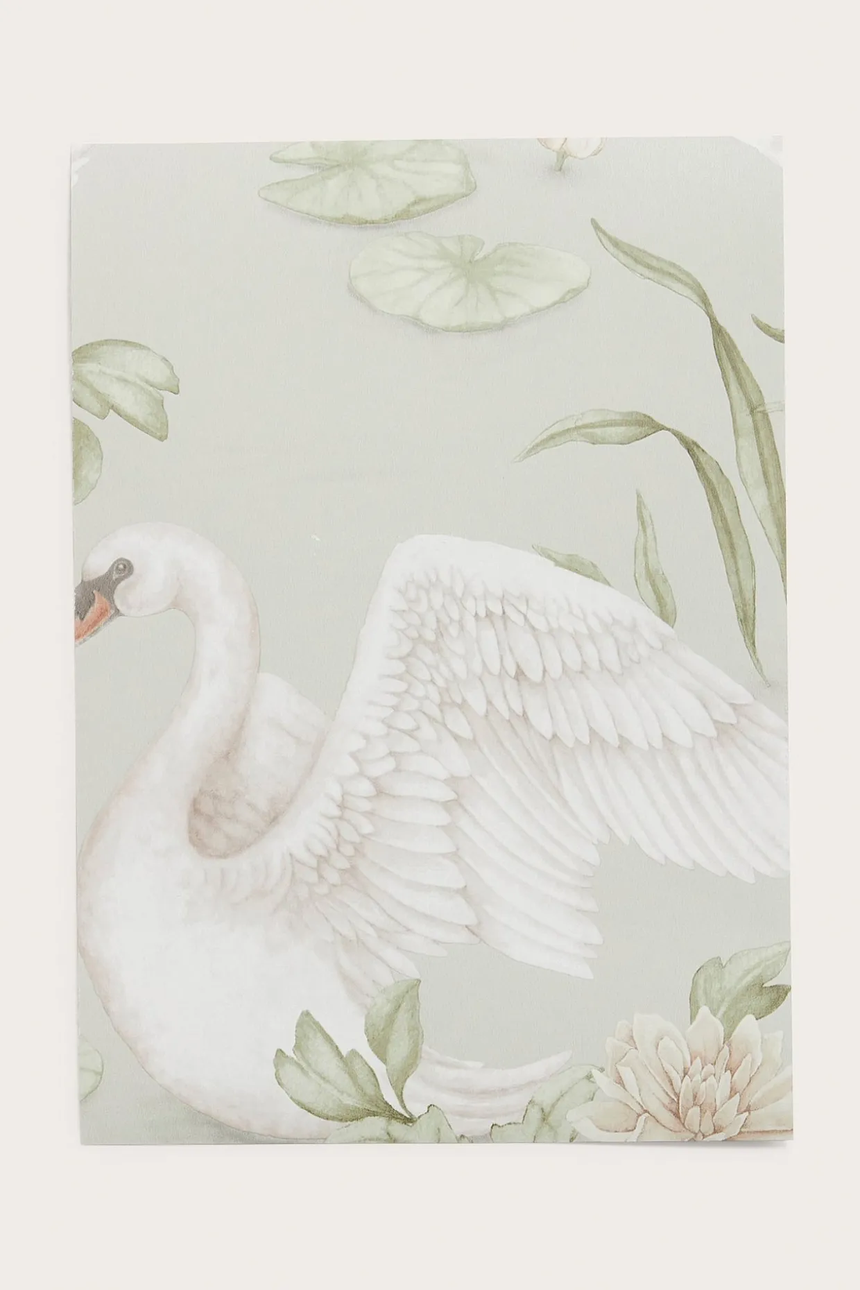 Próbka tapety Lily Swan