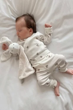 Prążkowane body w misie