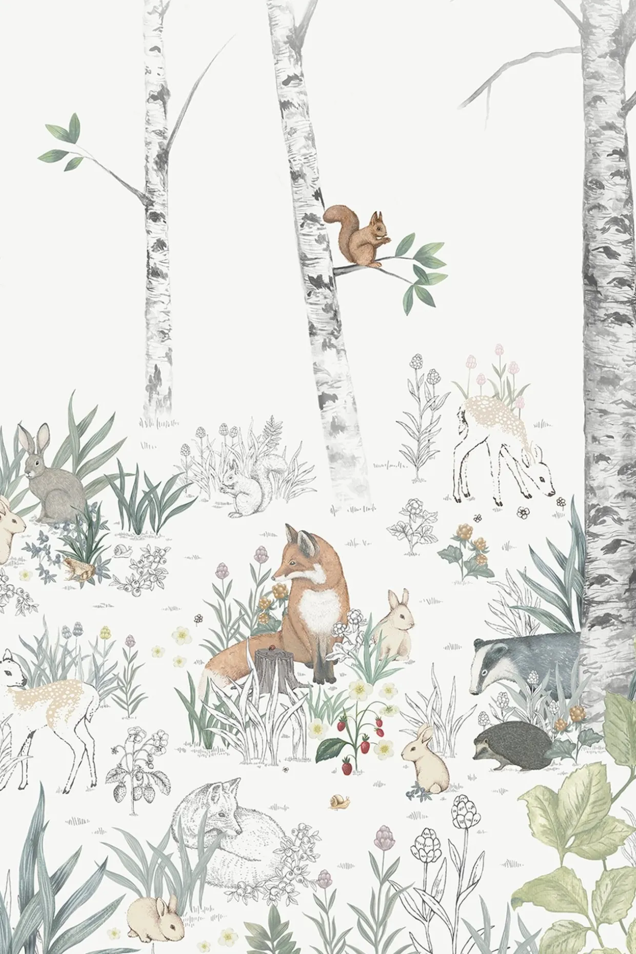 Tapeta Magic Forest – Mural